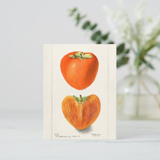 persimons Waterverf Briefkaart (Staand voorkant)