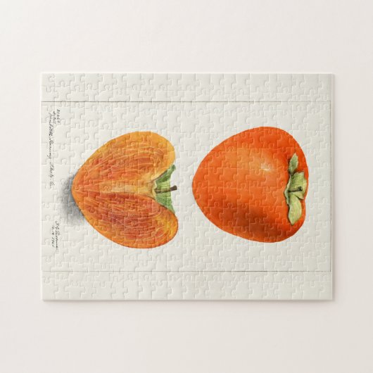  persimons Waterverf Legpuzzel (Horizontaal)