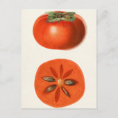 Persimons Waterverf schilderen Briefkaart (Voorkant)