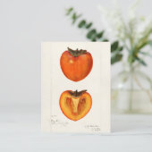 Persimons Waterverf schilderen Briefkaart (Staand voorkant)