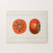 Persimons Waterverf schilderen Legpuzzel (Horizontaal)