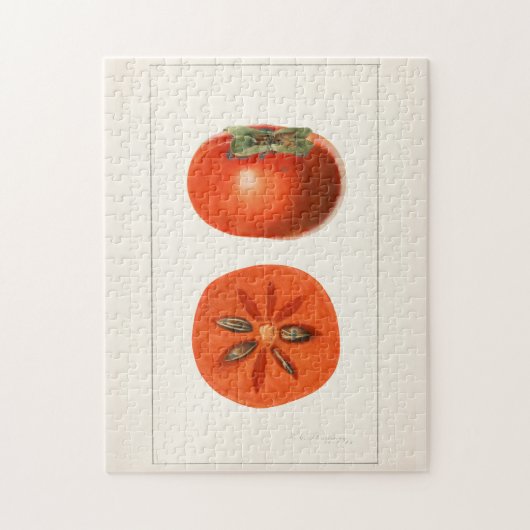 Persimons Waterverf schilderen Legpuzzel (Verticaal)