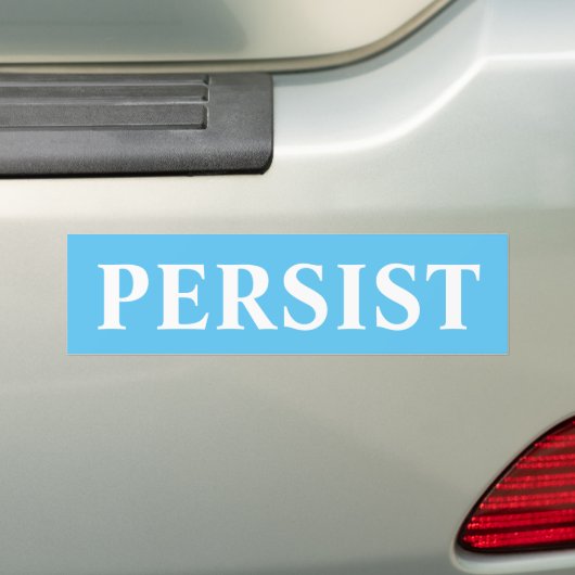PERSIST BUMPERSTICKER (Op auto)