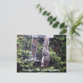 persistentie briefkaart (Staand voorkant)