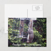 persistentie briefkaart (Voorkant / Achterkant)