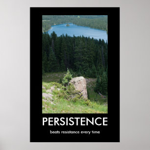 Persistentie Demotivatie Poster