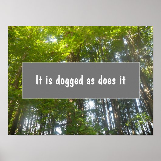 Persistentie Inspirerend proverb poster (Voorkant)