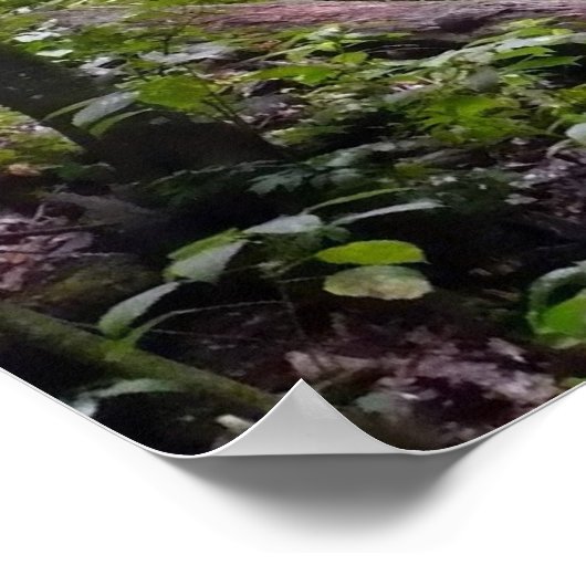 Persistentie Motivatie Poster (Hoek)