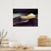 Persistentie motivatie prijsopgave poster (Keuken)