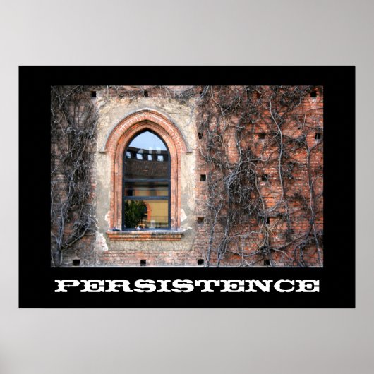 PERSISTENTIE-Poster Poster (Voorkant)