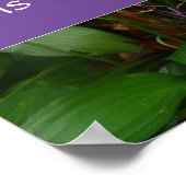 Persistentie-wijsheid gezegde foto poster (Hoek)