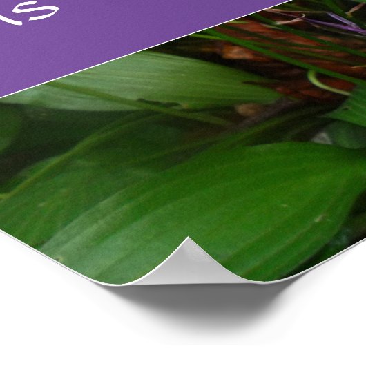 Persistentie-wijsheid gezegde foto poster (Hoek)