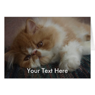 Persizische Kitten-kaart