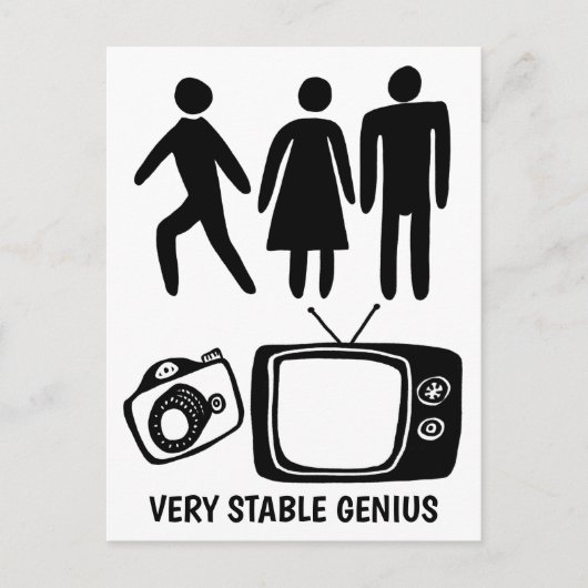 PERSON WOMAN MAN CAMERA TV Stable Genius Briefkaart (Voorkant)