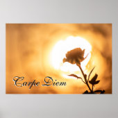 Personal Carpe Diem glanzend roos bloesem in zonso Poster (Voorkant)