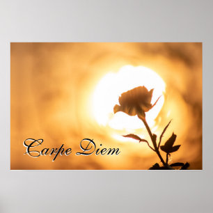 Personal Carpe Diem glanzend roos bloesem in zonso Poster