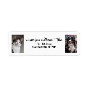 Personaliseer 2 foto's Cat Dog Modern Retour Adres Etiket