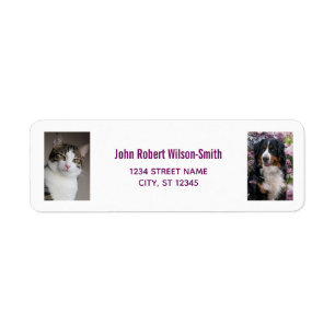 Personaliseer 2 foto's Cat Dog Modern Retour Adres Etiket