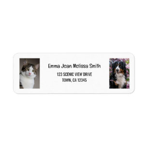 Personaliseer 2 foto's kat hond modern retouradres etiket