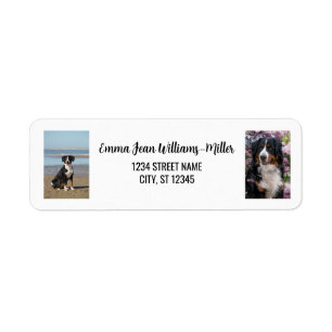 Personaliseer 2 foto's w / Dog Modern Retouradres Etiket