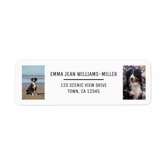 Personaliseer 2 foto's w / Dog Modern Retouradres Etiket (Voorkant)