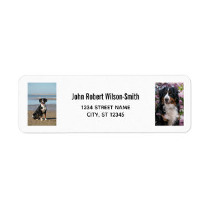 Personaliseer 2 foto's w / Dog Modern Retouradres Etiket