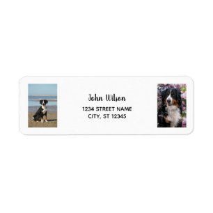 Personaliseer 2 foto's w / Dog Modern Retouradres Etiket