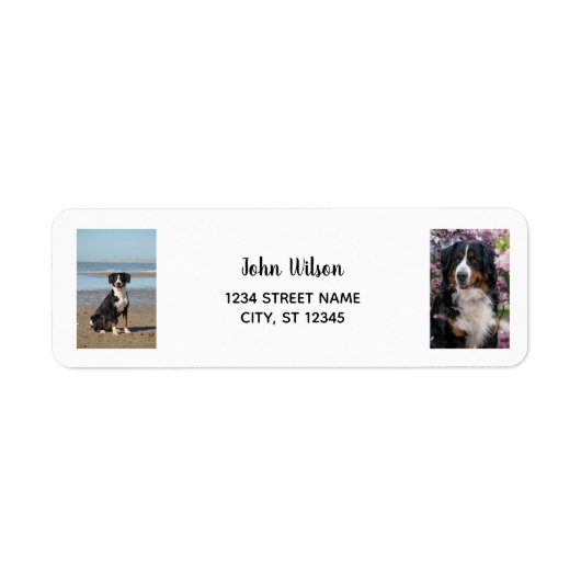 Personaliseer 2 foto's w / Dog Modern Retouradres Etiket (Voorkant)