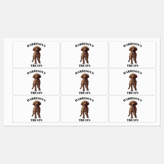 Personaliseer Aangepaste Hond, Kat Naam Foto voeds Labels (Vel)