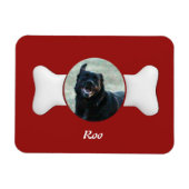 Personaliseer Bone Shaped Pet Keepsake Magneet (Horizontaal)