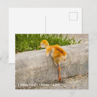 Personaliseer cute chick "Ik weet dat ik kan. Ik w Briefkaart