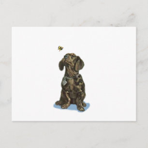 Personaliseer Dachshund en bij  kunstgeschenken Briefkaart