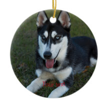 Personaliseer de puppy Siberian Husky