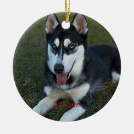 Personaliseer de puppy Siberian Husky Keramisch Ornament