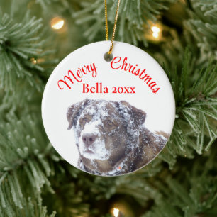 Personaliseer de sjabloon voor huisdierenfoto's keramisch ornament