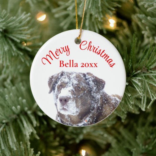 Personaliseer de sjabloon voor huisdierenfoto's keramisch ornament (Boom)