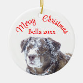 Personaliseer de sjabloon voor huisdierenfoto's keramisch ornament (Voorkant)