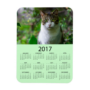 Personaliseer deze Groene Foto 2017 Mini Kalender Magneet