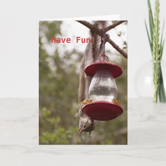 Personaliseer Eekhoorn ondersteboven op de feeder Kaart (Voorkant)