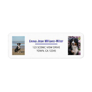 Personaliseer foto's w / Dog Modern Retouradres Etiket