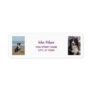 Personaliseer foto's w / Dog Modern Retouradres Etiket