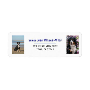 Personaliseer foto's w / Dog Modern Retouradres Etiket