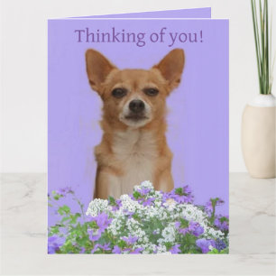 Personaliseer grote 'Denk aan jou' kaart voor hond