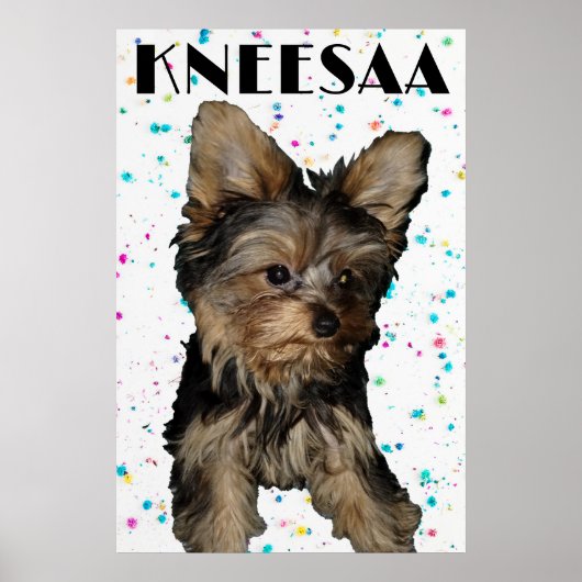Personaliseer het! Floral Speckled Pet Foto & Naam Poster (Voorkant)