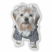 Personaliseer het! Foto Pet Sticker (Voorkant)