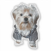 Personaliseer het! Huisdierfoto Sticker (Voorkant)