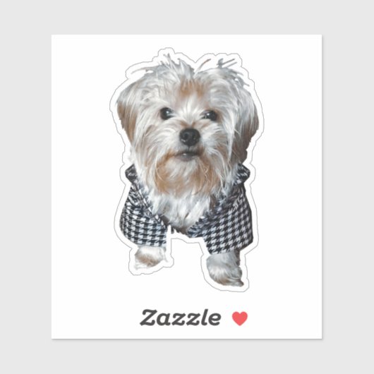 Personaliseer het! Huisdierfoto Sticker (Vel)