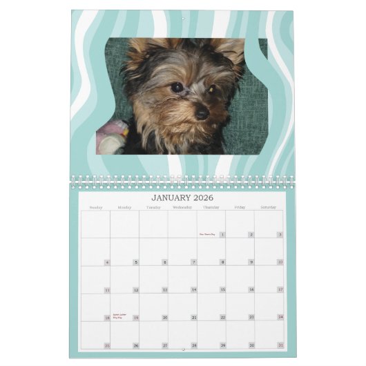 Personaliseer het! Swirl-A-Licious Pet Foto Grijs Kalender (Jan 2026)
