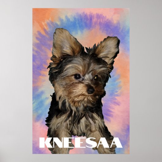 Personaliseer het! Tie Dye Pet Foto & Naam Poster (Voorkant)
