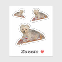 Personaliseer het! Vliegende Pizza Huisdier